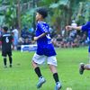 apippnya_neta333