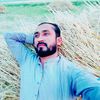 masifshahzad7865