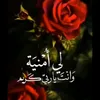 xvly_9876