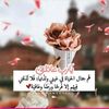 user2402575160079