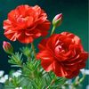 moyna.ja