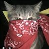 nona_ambon929