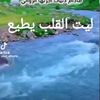 user7602123055930