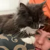 ladlecat