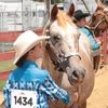 alexis_horsegirl