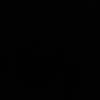 Ray
