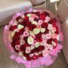doaa2822