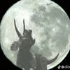 dinoalt11