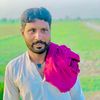 mallikshahzad3110r