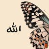urs__maheen