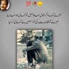 la.hasil.ishq64