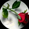 dj_hj33