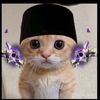 farel.sgm