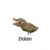 zidanardiansah92