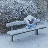 frozeenprocapcut