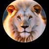 ahmad.lpoi