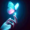butterfly_19831