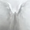scottangelss