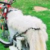 adamat607