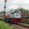 vanderlinde230