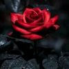 sapnashreshtha124