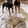 smiling3609