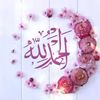 m ahsanulhaq1234