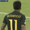 ro_dry11