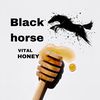 black.horse781
