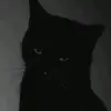0_ocrazy_kittyo_0