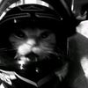 nazz_6153