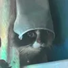 slothking210525