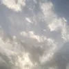wsflhfl