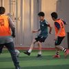 abo.ghafily