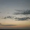8moh_78