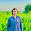 user4593713265319
