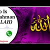 user69805022016340