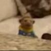 betterdenu0