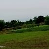 mumtazahmed9665