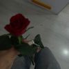 sab6ena