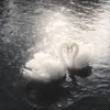derya_chonki
