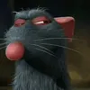 czlowieknn