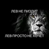 user8821588163596