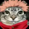diegofeccia2323
