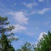 .olerbes