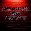 _lapin_blanc_509