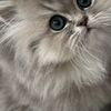 fatma.sebai6