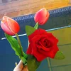 om.abd.alsallam