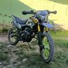 dm300.roque