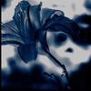 till_771